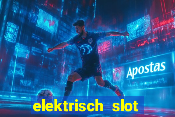 elektrisch slot houten poort