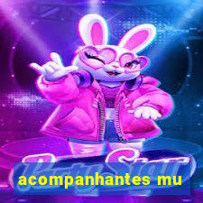 acompanhantes mu