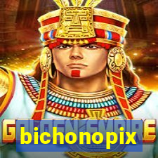 bichonopix