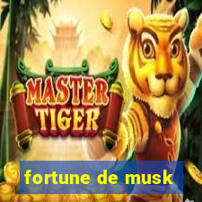 fortune de musk