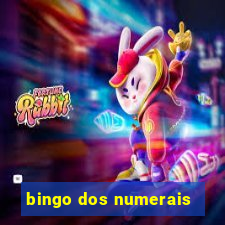 bingo dos numerais