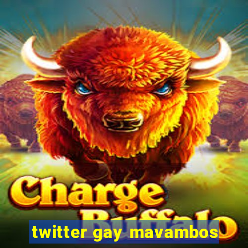 twitter gay mavambos