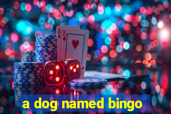 a dog named bingo