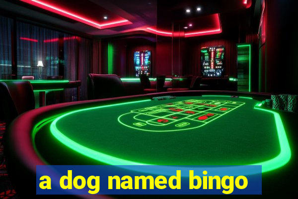 a dog named bingo