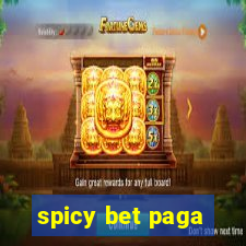 spicy bet paga