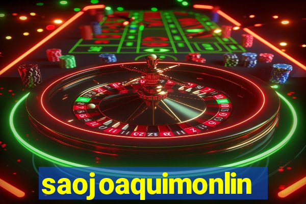 saojoaquimonline