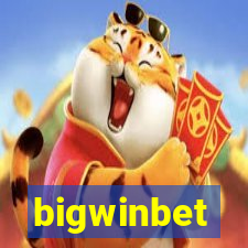 bigwinbet