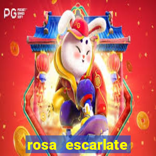 rosa escarlate ragnarok quest