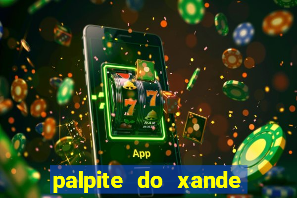 palpite do xande para hoje