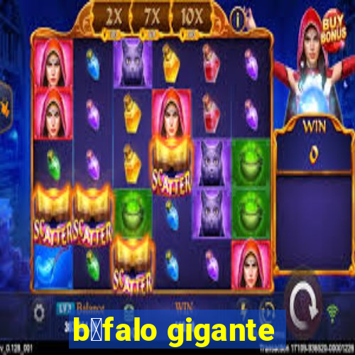 b煤falo gigante