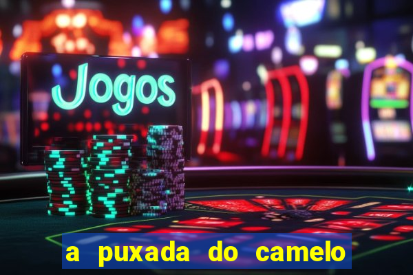 a puxada do camelo no jogo do bicho