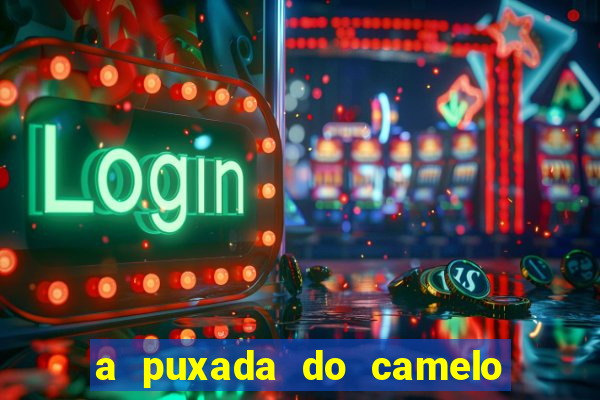 a puxada do camelo no jogo do bicho