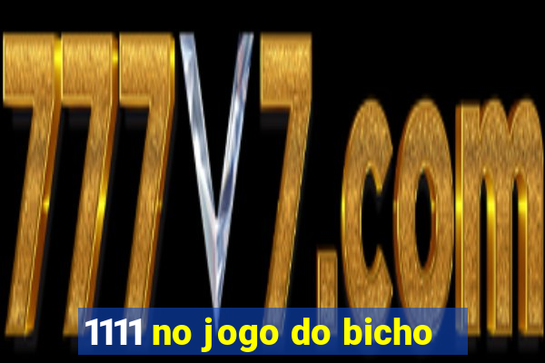 1111 no jogo do bicho