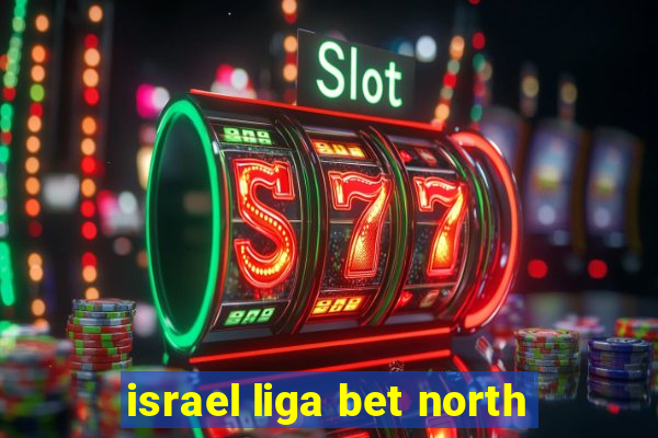 israel liga bet north