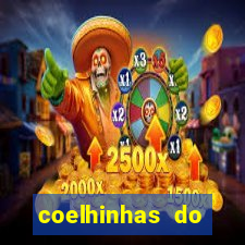 coelhinhas do brasil jp