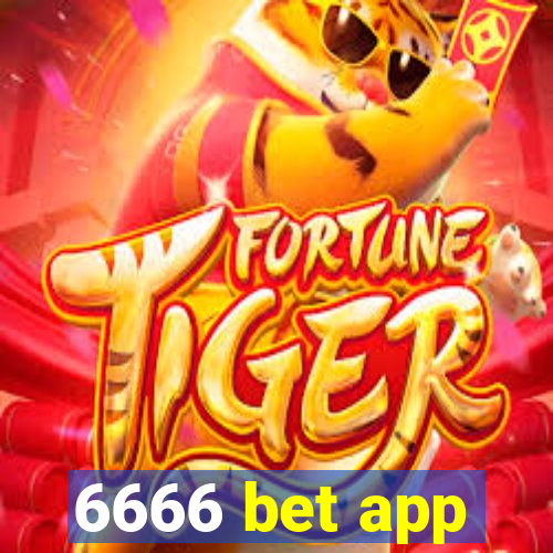 6666 bet app