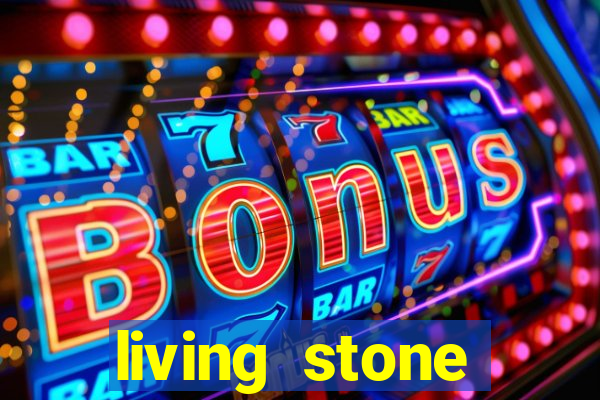 living stone network tv