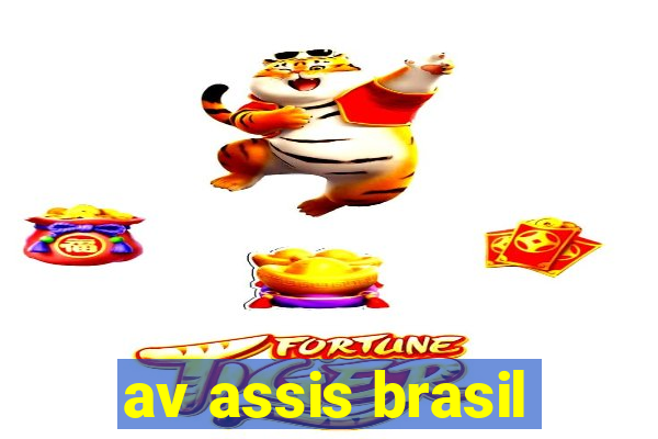 av assis brasil