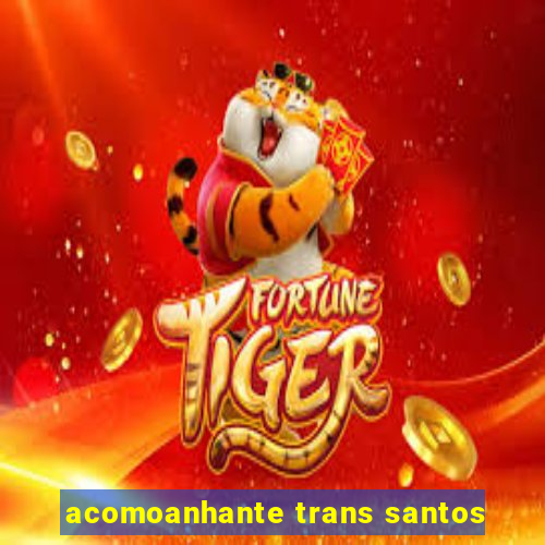 acomoanhante trans santos