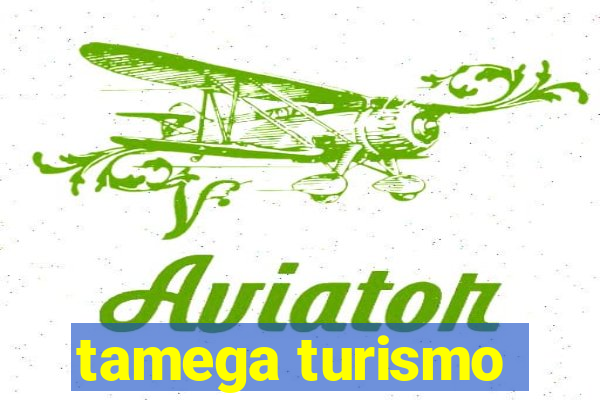 tamega turismo