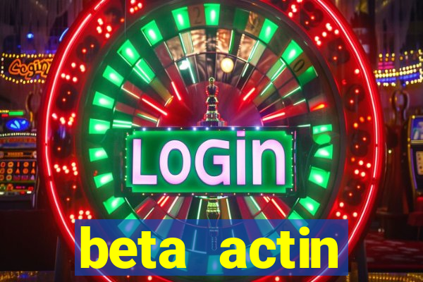 beta actin molecular weight