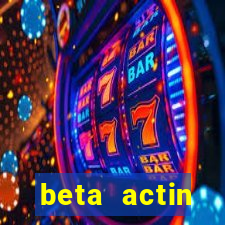 beta actin molecular weight