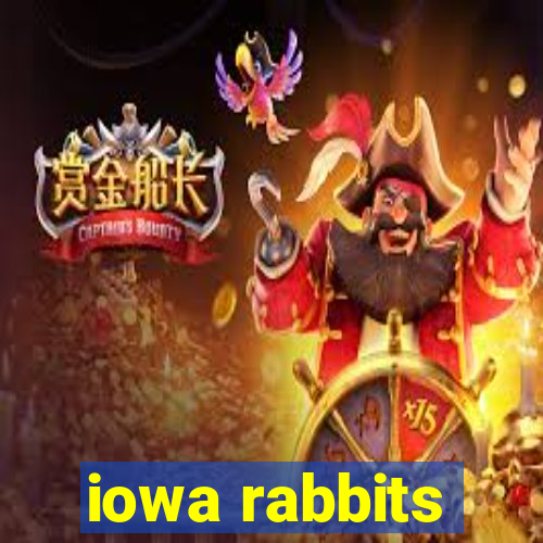 iowa rabbits