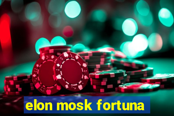 elon mosk fortuna