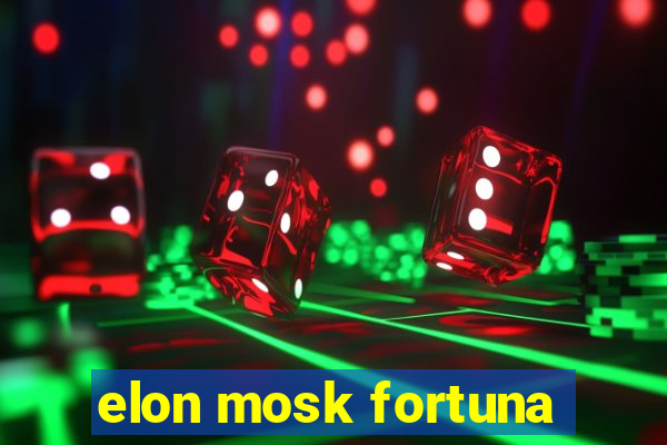 elon mosk fortuna