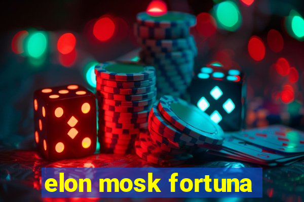 elon mosk fortuna