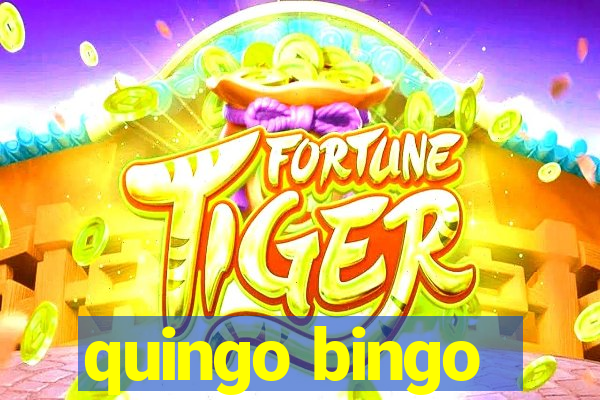 quingo bingo