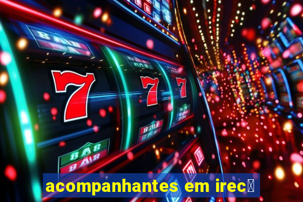 acompanhantes em irec锚