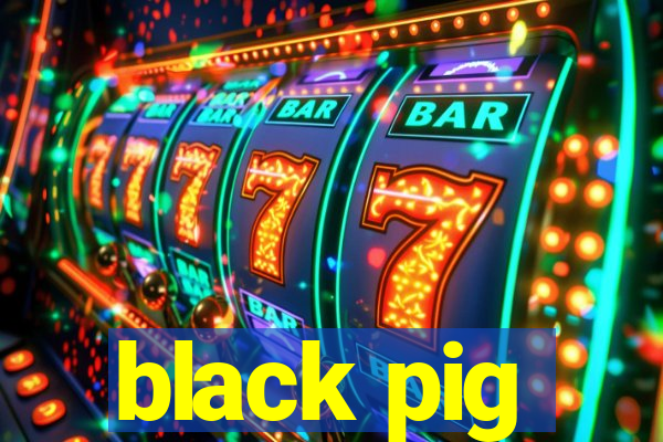 black pig