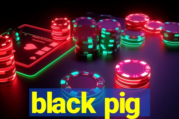 black pig