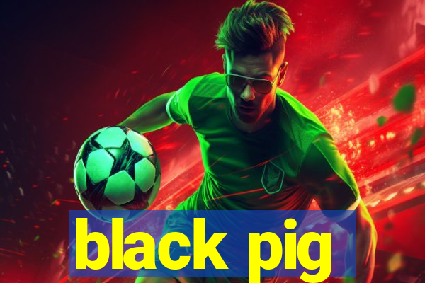 black pig