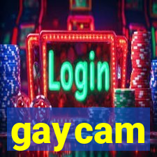 gaycam