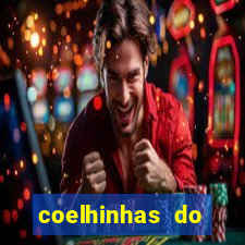 coelhinhas do brasil recife