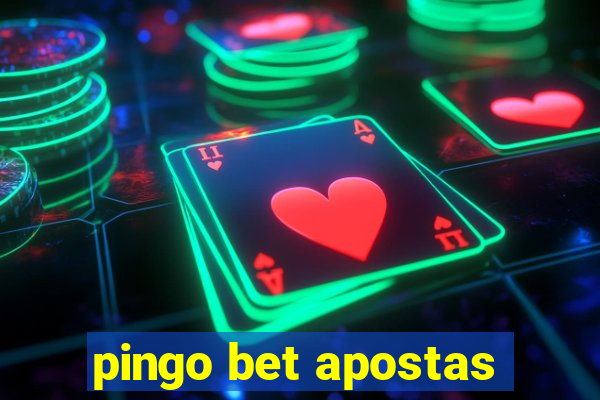 pingo bet apostas