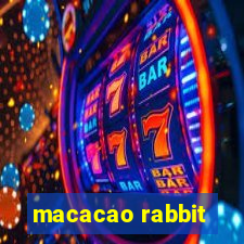 macacao rabbit