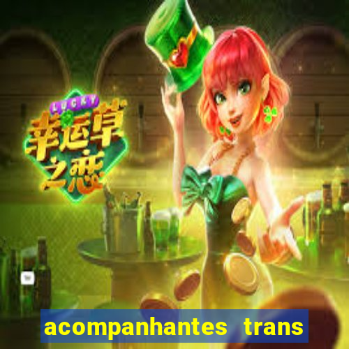 acompanhantes trans santos sp