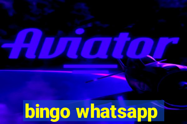 bingo whatsapp