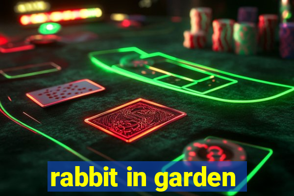 rabbit in garden