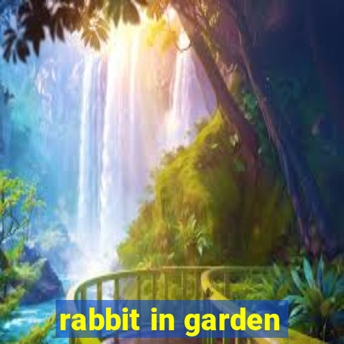 rabbit in garden