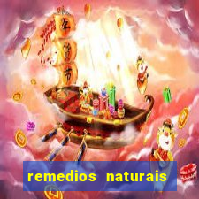 remedios naturais para diabete