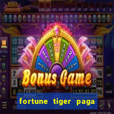 fortune tiger paga de madrugada