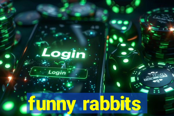 funny rabbits