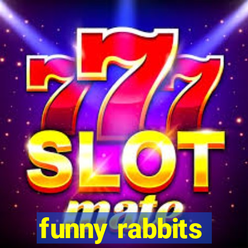 funny rabbits