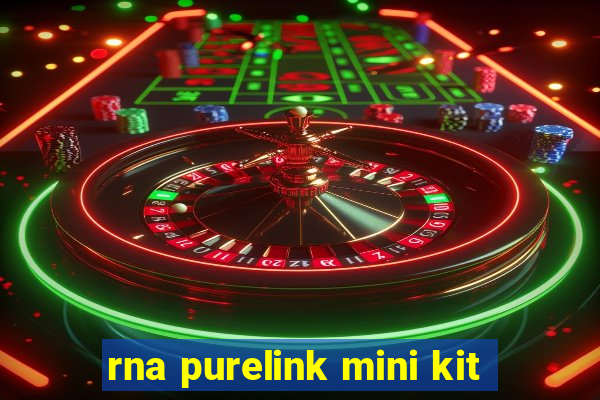 rna purelink mini kit