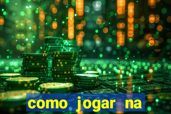 como jogar na seninha online