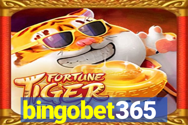 bingobet365